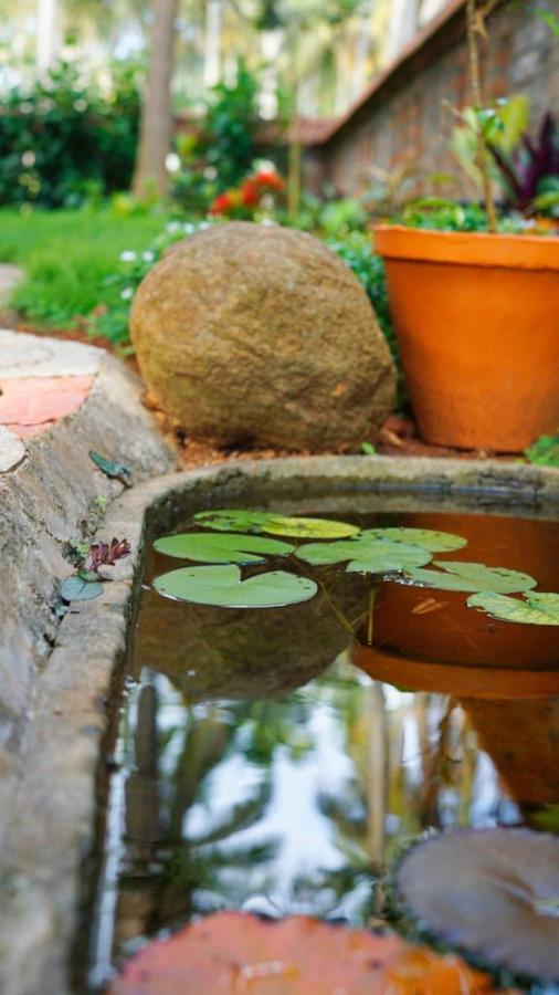 Dr Nisha'S Vedic Remedies 트리반드룸 외부 사진